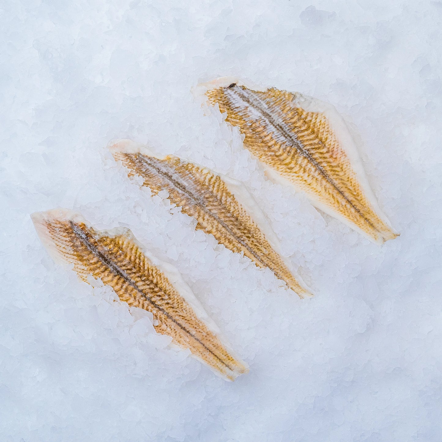 Rødspættefilet , frost