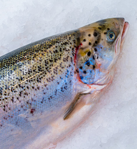 Laks 1-2 kg ( kasse 23-25 kg)