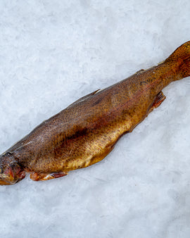 Varmrøget Ørred 1 stk