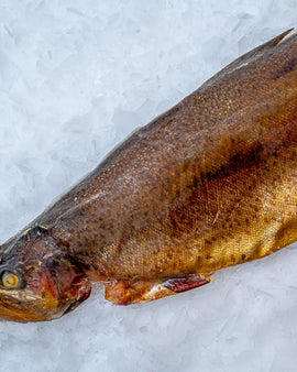 Varmrøget Ørred 1 stk