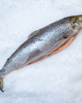 Hel  frossen laks 1-2 kg kasse