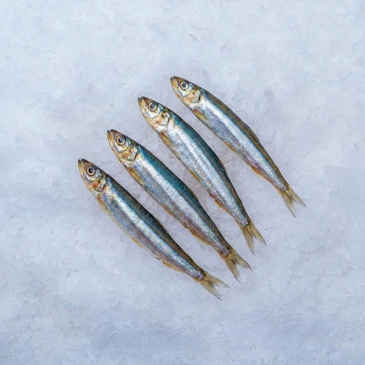 Frozen Capelin