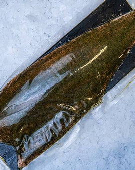 Let saltet laks med dild