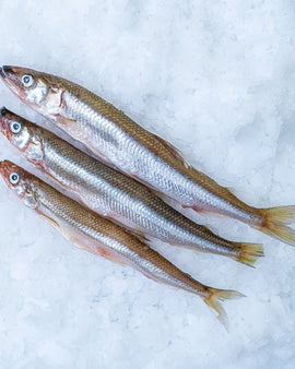 Smelt med rogn , frost