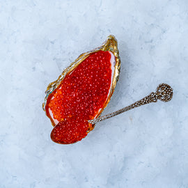 Frossen havørredrogn, Finland