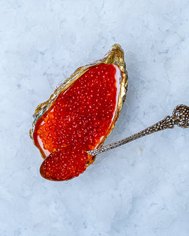 Frossen havørredrogn, Finland