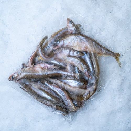 Smelt med rogn , frost