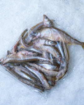 Smelt med rogn , frost