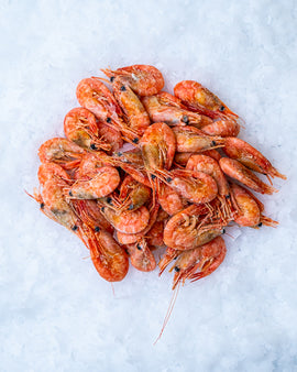 Grønlandsk reje  5 kg