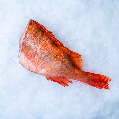 Rødfisk , frost