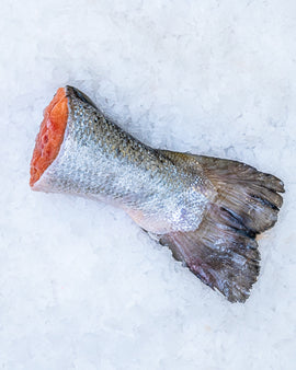 Laks/ørredhaler , frost