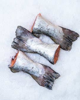 Laks/ørredhaler , frost