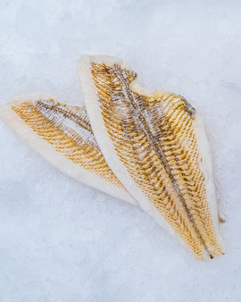 Rødspættefilet , frost