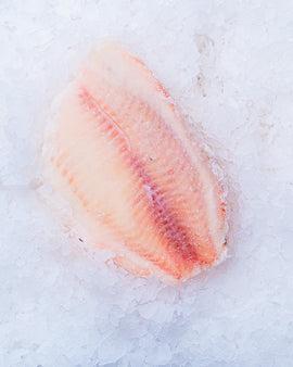 Tilapia filetter