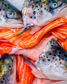 Suppesæt laks/ørred