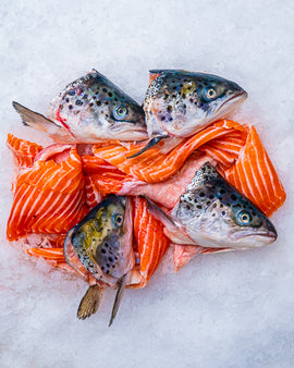 Suppesæt laks/ørred