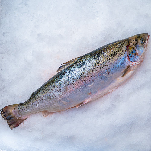 Hel laks 3-4 kg