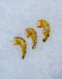 Tigerrejer uden hoved