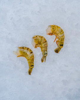 Tigerrejer uden hoved