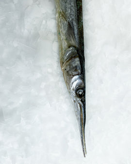 Tørret hornfisk