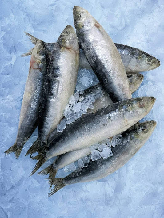 Sardine entière, surgelée