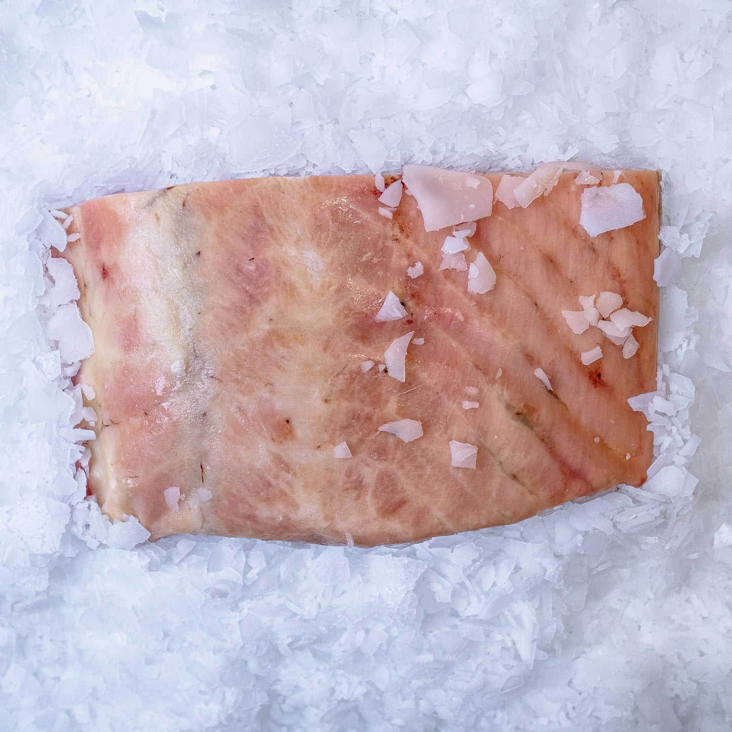 Størfilet ,frost